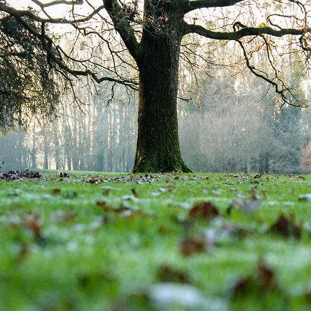 Chateau De La Chasse Beauvais Romagne  Dış mekan fotoğraf